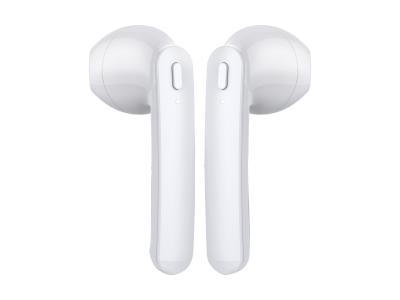 LBT True Wireless Earbuds in White
